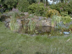 Garden pond